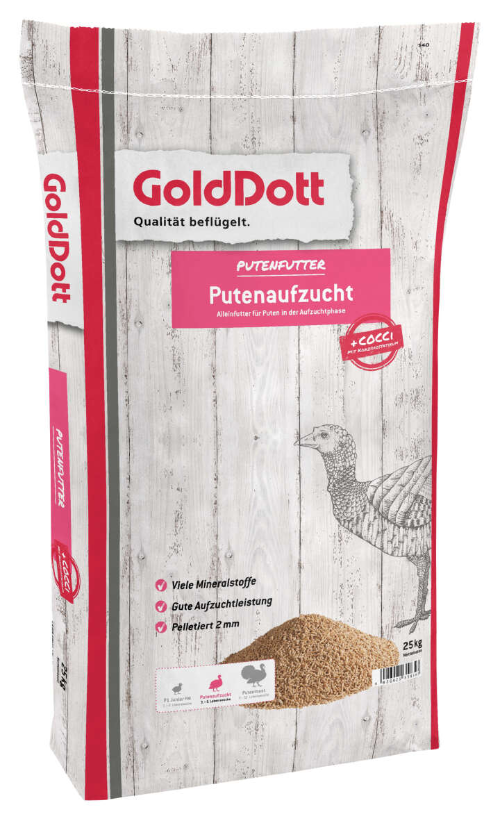 Golddott Putenaufzucht Gold